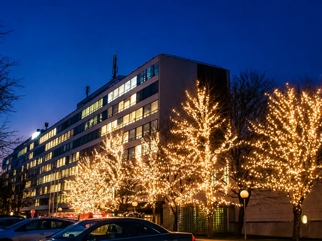 Baumbeleuchtung EVN-Allee