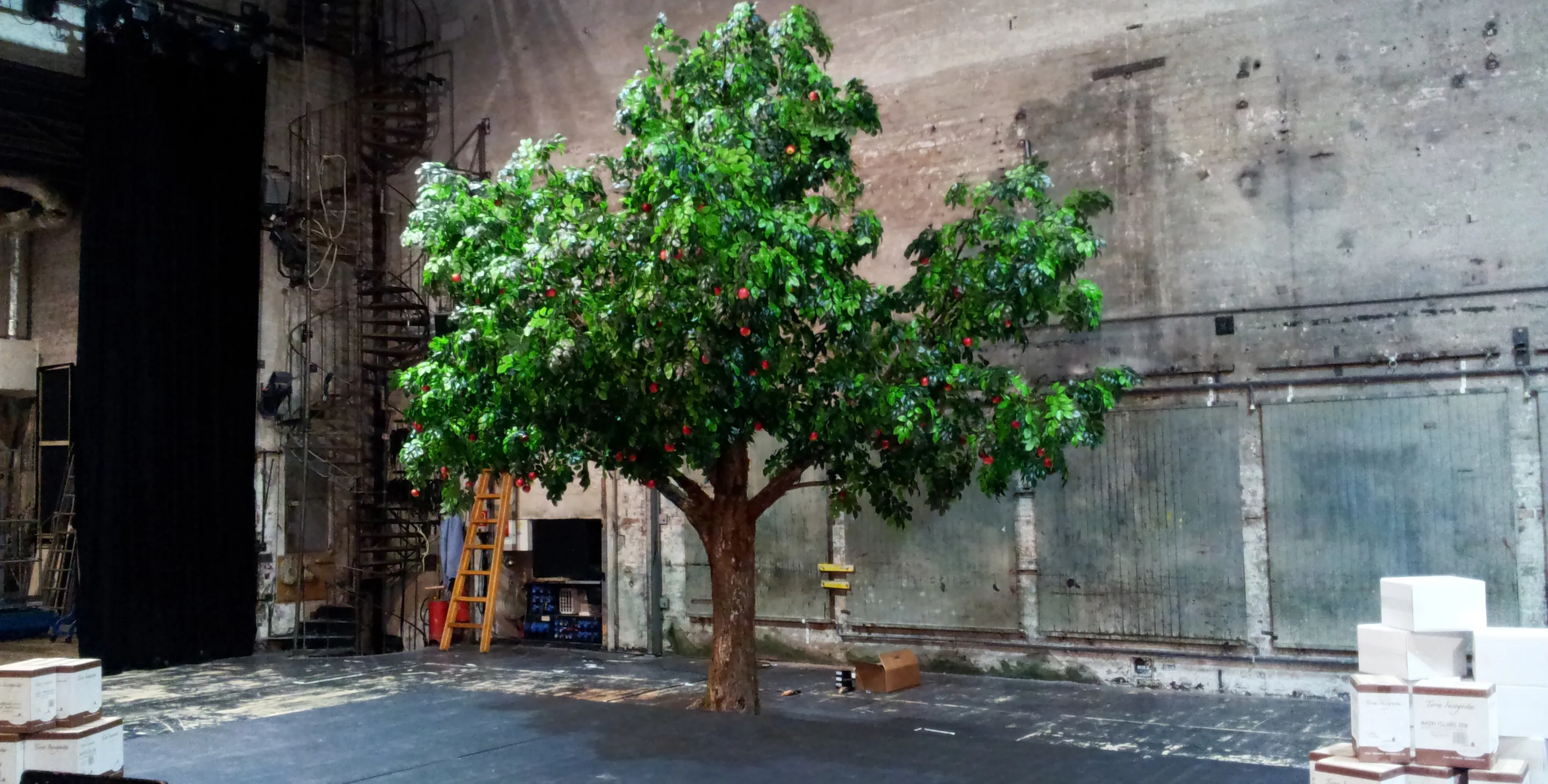 Apfelbaum-Sonderbau für das Akademietheater
