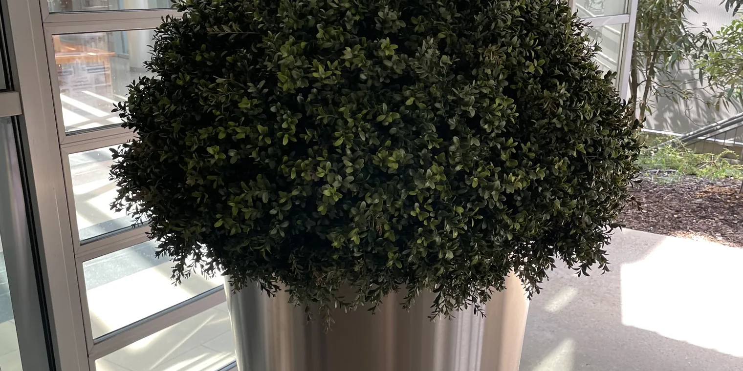 Kugelbaum Shopping City Seiersberg