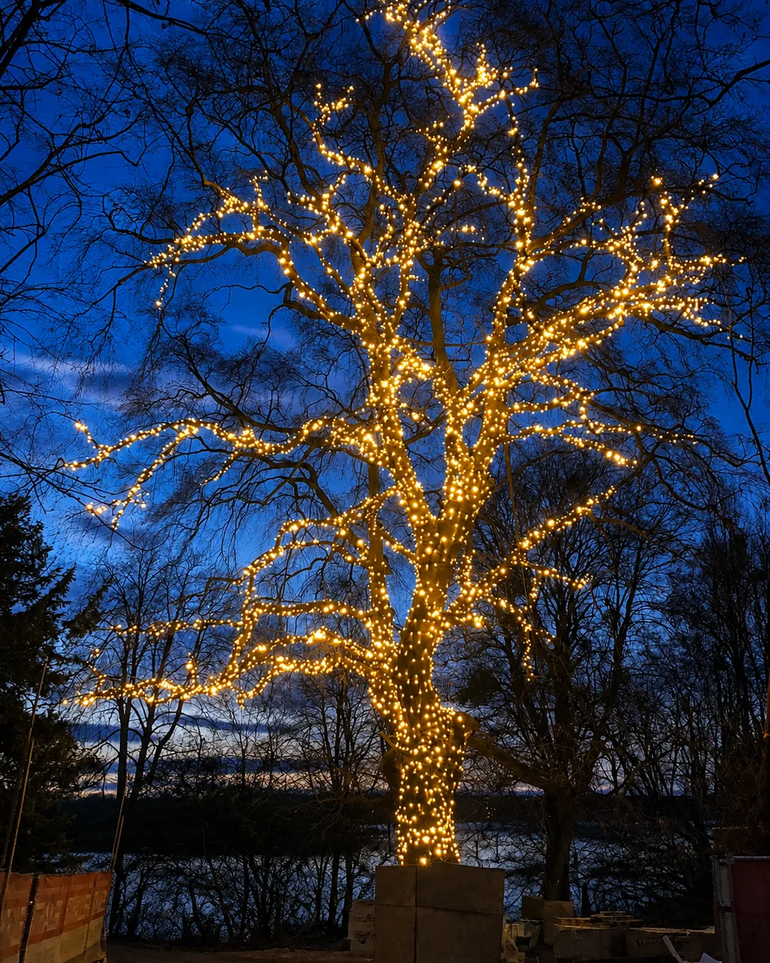 Baumdekoration mit LED-Lichterketten