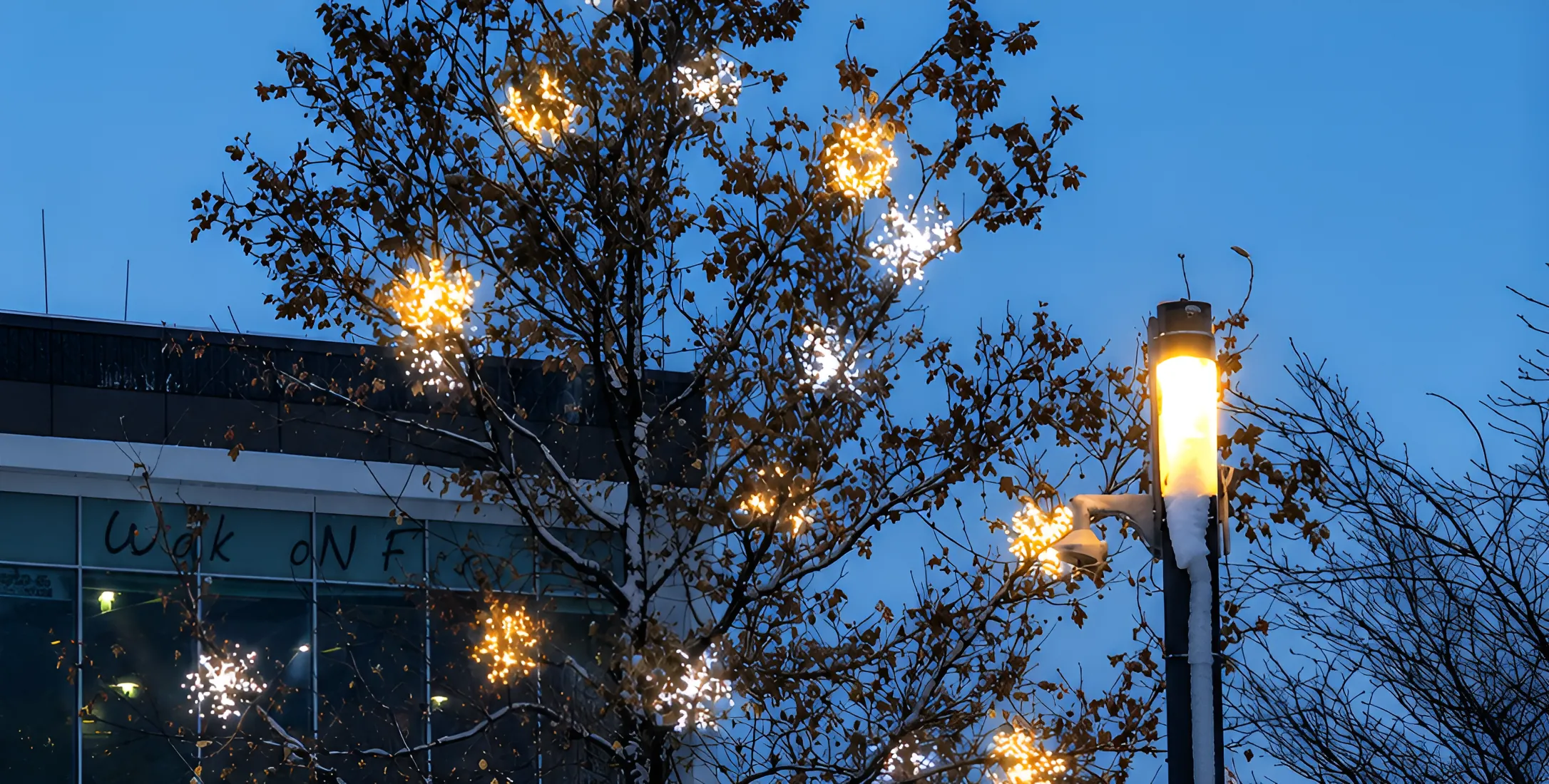 Baumbeleuchtung in der Shopping City Süd