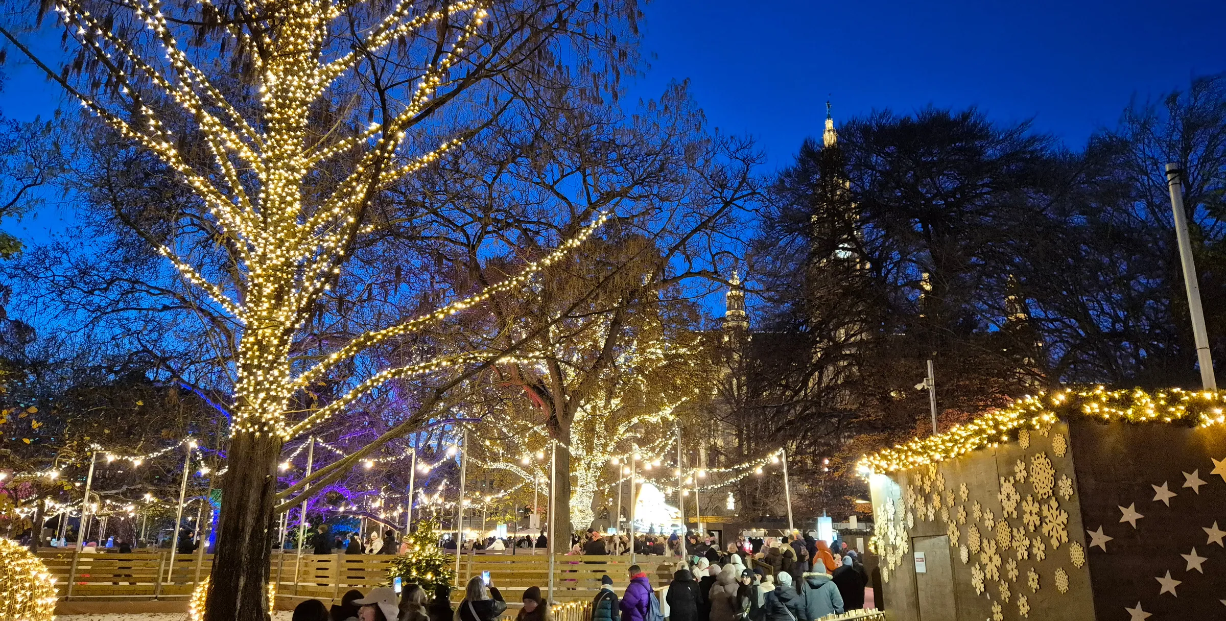 Illuminierte Bäume über einem Weihnachtsmarkt