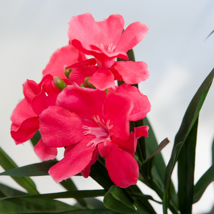 UV-bestndige Kunstpflanze - Plantas